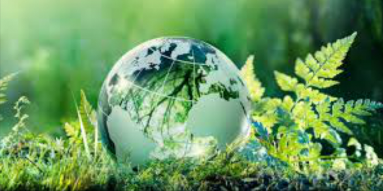 5 de Junio: Día Mundial del Medio Ambiente M-MEDIO_AMBIENTE