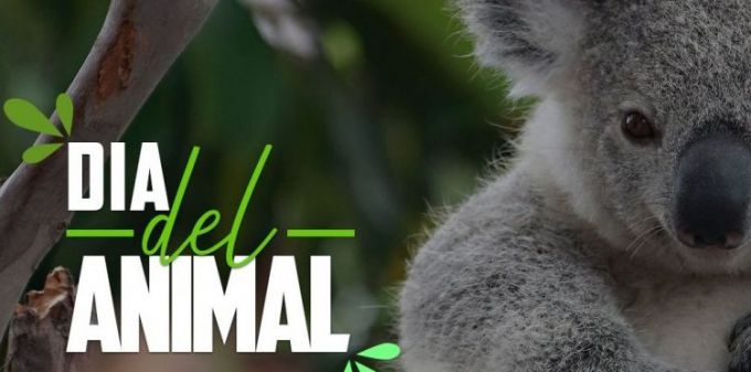 DIA_DEL_ANIMAL