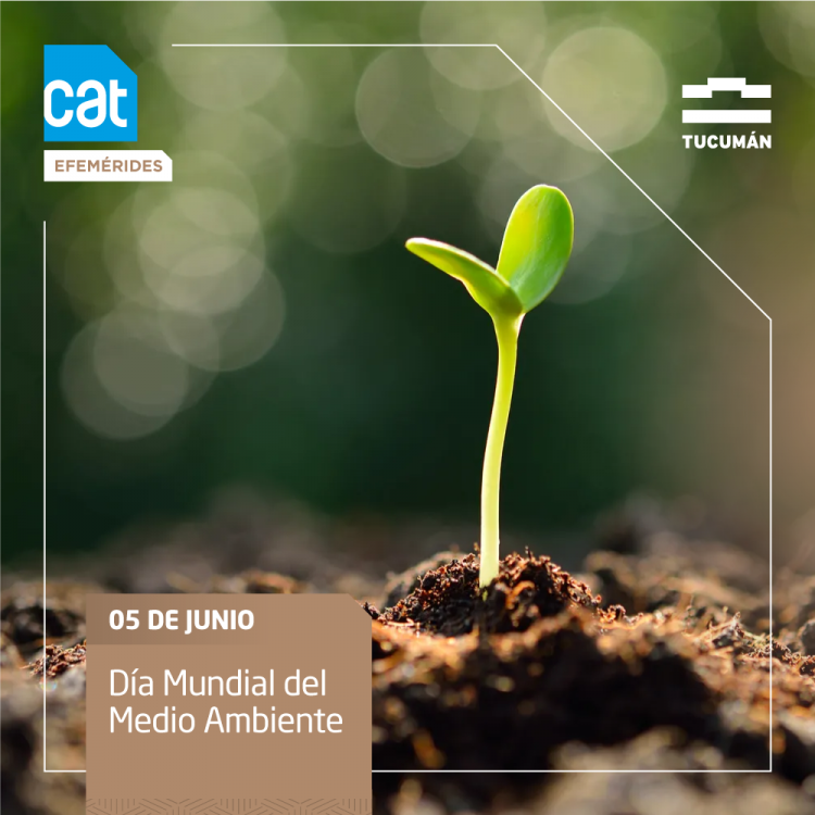 DIA_MUNDIAL_DEL_MEDIO_AMBIENTE