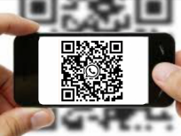 M-DIFUSION_CAT_WHATSAPP