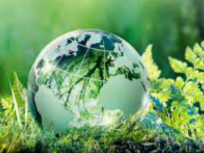 M-MEDIO_AMBIENTE
