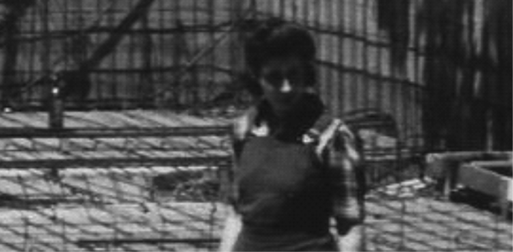 Nota: Evolución de la Mujer Arquitecta en los ultimos 30 años. M-EVOLUCION_DE_LA_MUJER