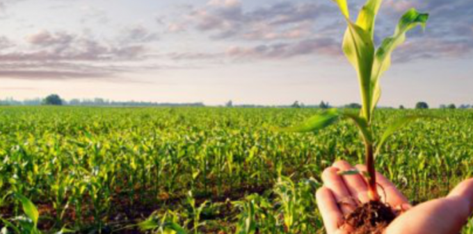 06 de Agosto: Día del Ingeniero Agrónomo M-INGENIERO_AGRONOMO