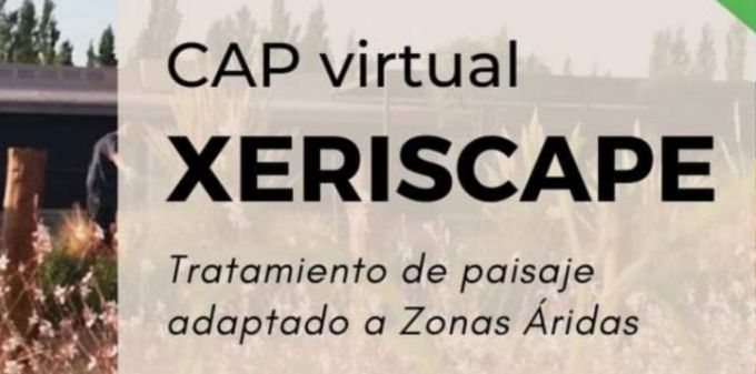 CURSO_CEPA
