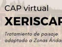 CURSO_CEPA