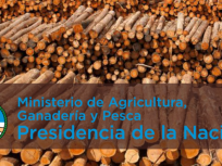 M-CONSTRUCCION_DE_MADERA
