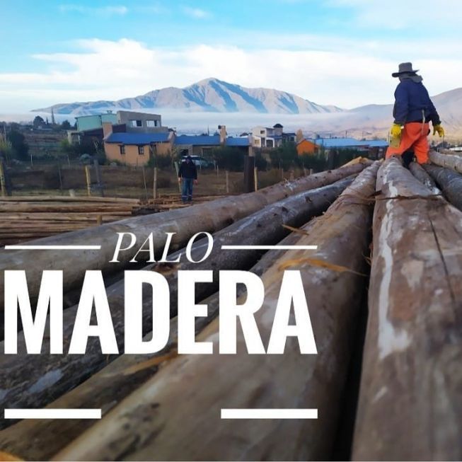 PALO_MADERA_1