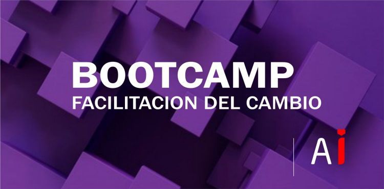 M-BOOTCAMP_AGENCIA_i_1